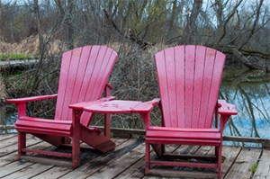 a group of pink flowers on a wooden bench sitting in a chair